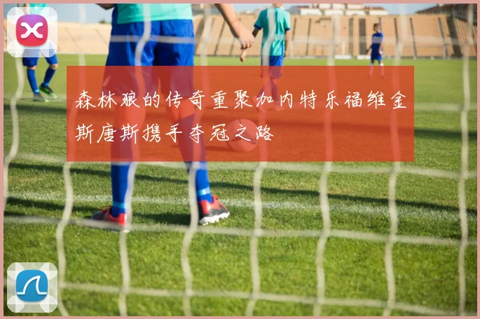 森林狼的传奇重聚加内特乐福维金斯唐斯携手夺冠之路